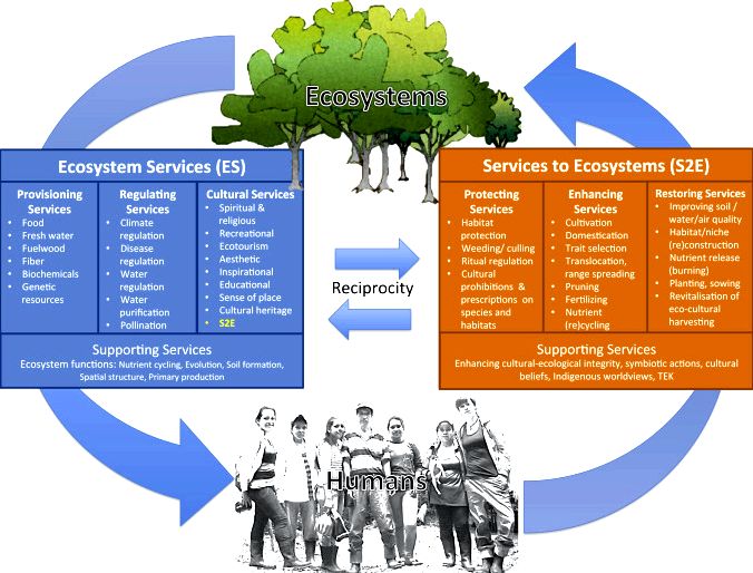 Services done by the ecosystem: forest remains influence farming cultures' title='Services done by the ecosystem: forest remains influence farming cultures' /></div>
<p>Resourse: https://link.springer.com/article/10.1023/</p>
<div style='text-align:center;