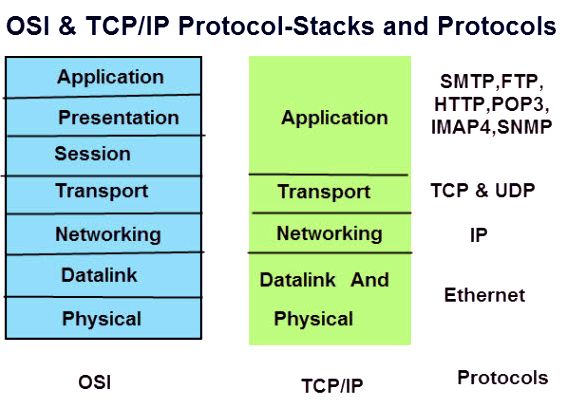 What' title='What' /></div>
<p>Resourse: https://searchnetworking.techtarget.com/definition/</p>
<h3 id='Introduction to TCP/IP